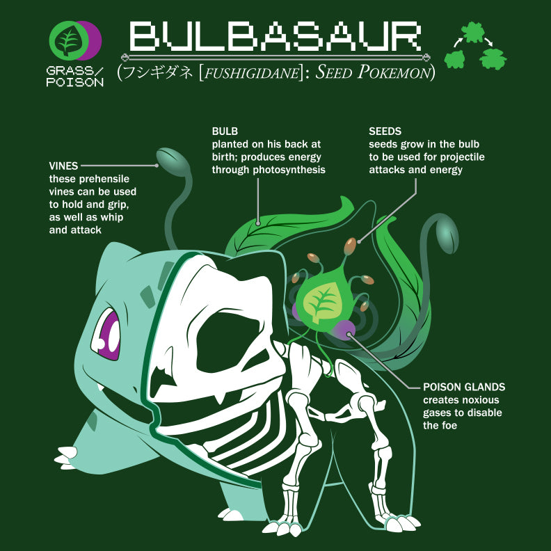 2880 - Bulbasaur Anatomy