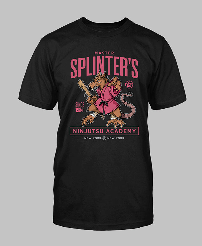 3042 - Splinter's Academy