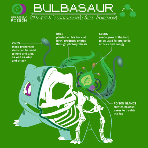 Bulbasaur Anatomy