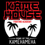 2695 - Kame House