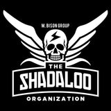 2701 - Shadaloo