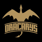 2714 - Dracarys