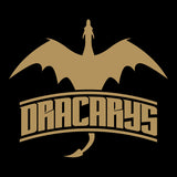 2714 - Dracarys